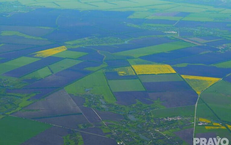 Державі повернуть частину заповідного Чернечого лісу біля Ходосівки