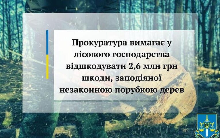 “Браконьєри в законі”: біля Богуслава лісівники нарубали дерев на 2,6 млн. гривень