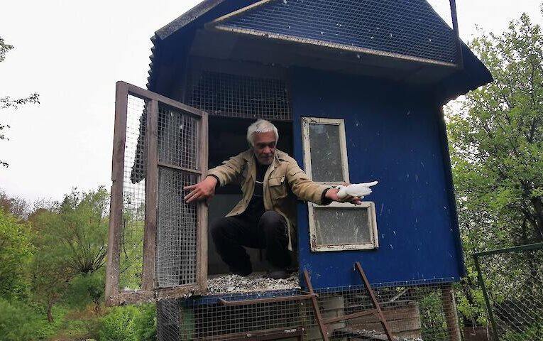 Любов і голуби по-обухівськи:  що таке пристрасть довжиною у півстоліття?