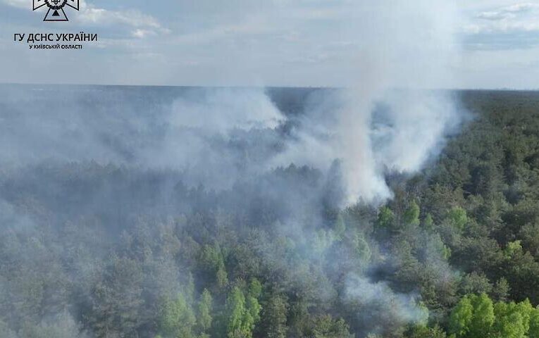 У Вишгородському районі горіло 15 га лісової підстилки