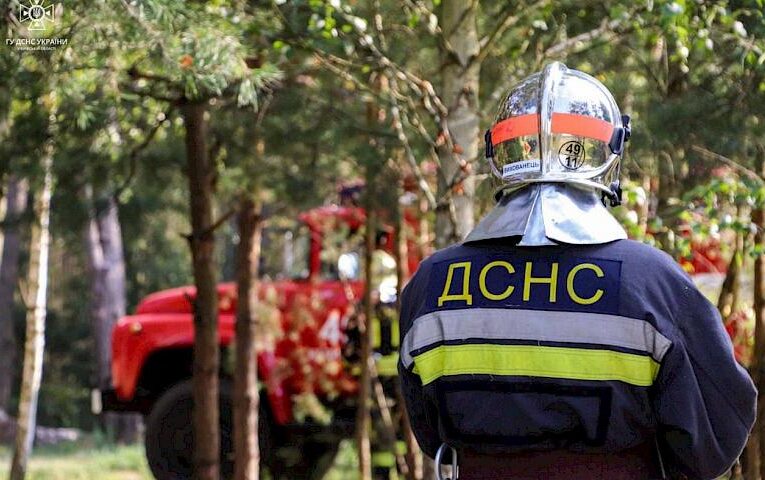 На Київщині за два дні сталось 32 пожежі в екосистемах