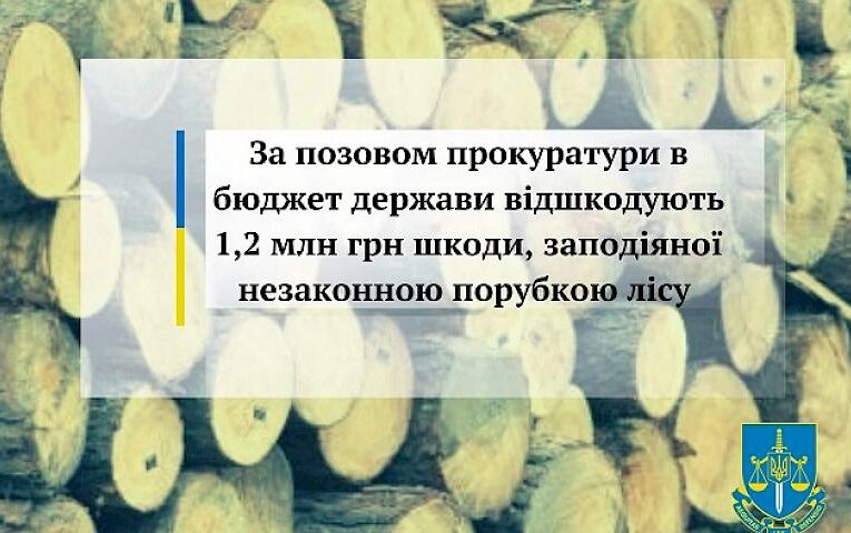 Нарубався: працівника лісництва в Обухівському районі зобов’язали відшкодувати 1,2 млн грн