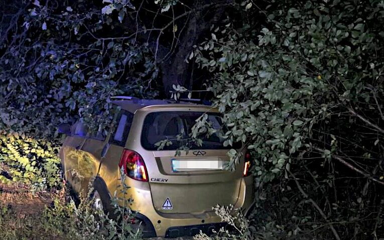 На Київщині нетверезий водій потрапив у ДТП: допустима доза алкоголю перевищена у 15 разів (фото)