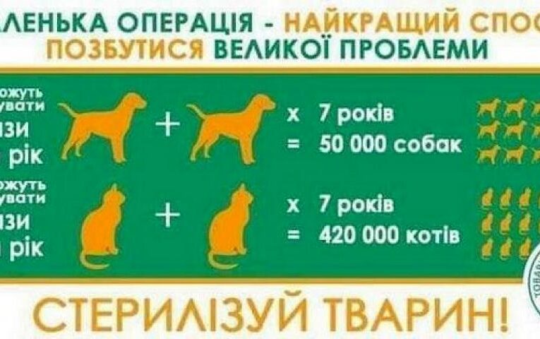 11 вересня в Обухові відбудеться пільгова стерилізація домашніх тварин