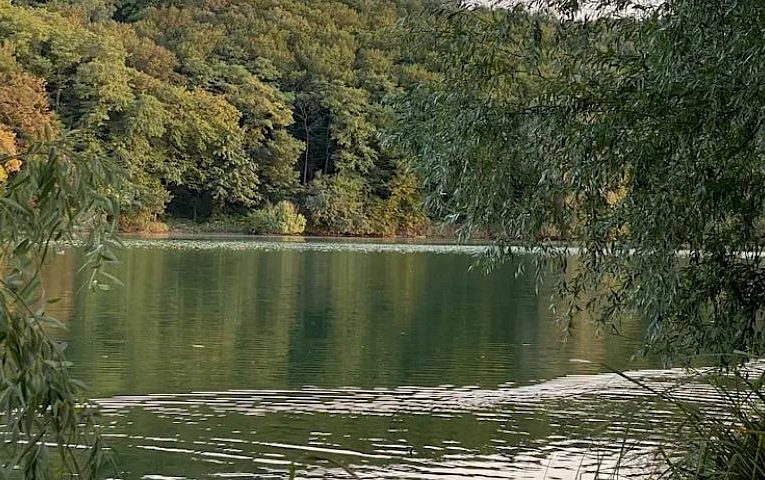 В Обухівській громаді шукали міни: що сталося?