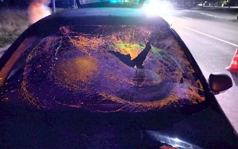 На Бучанщині внаслідок ДТП пішохід потрапив до лікарні