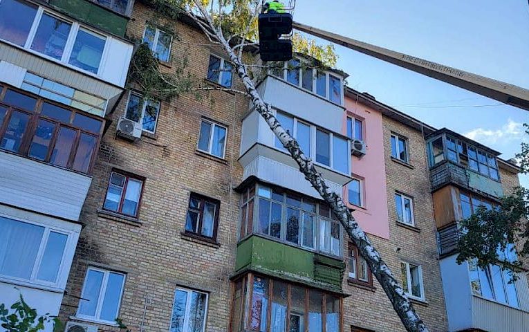 Через негоду на Київщині постраждала людина