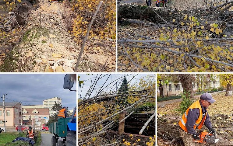 Васильківські комунальники прибирають наслідки буревію і нагадують про правила безпеки