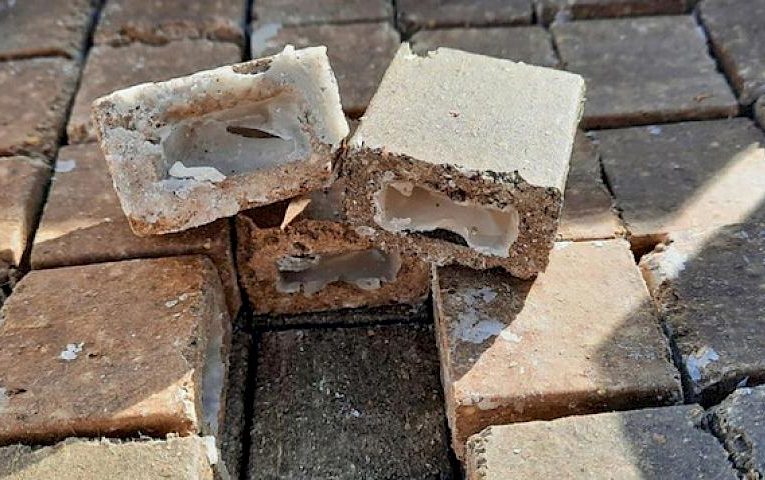 В Кагарлицькій і Ржищівській громадах вакцинують диких тварин від сказу