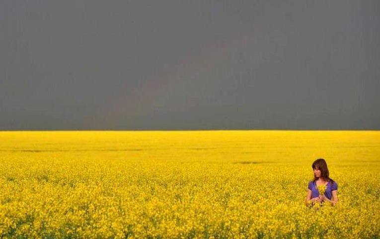 Історія повторюється: війна Росії проти України та Голодомор