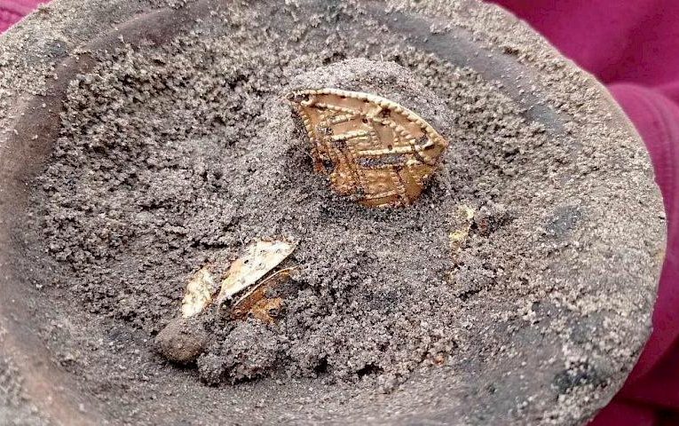 12 золотих предметів знайшли у скарбі часів козаччини на Київщині