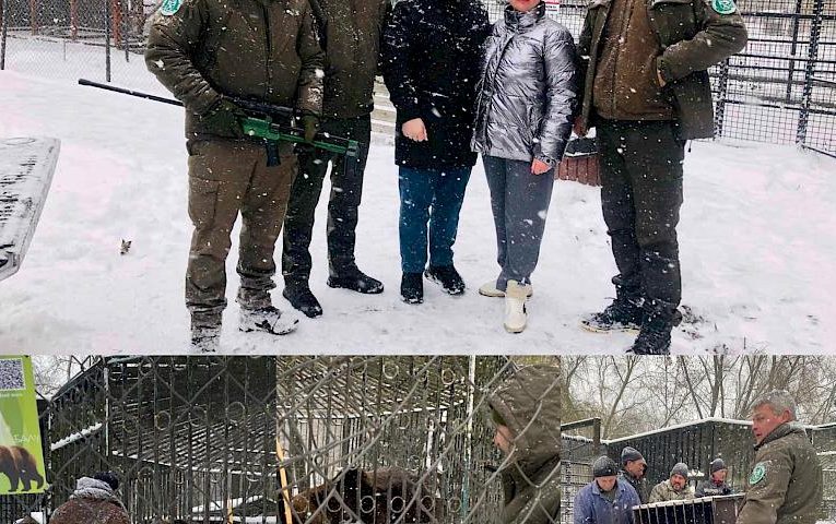 Ведмедя Балу передали із зоокуточка до реабілітаційного центру