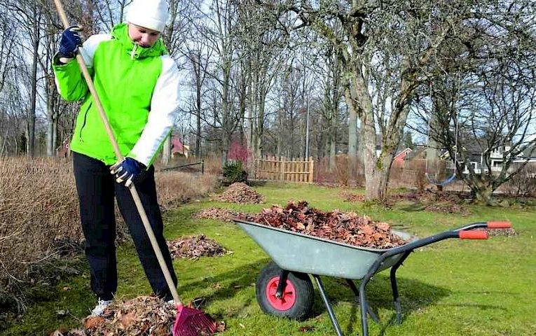 Основні садові роботи у листопаді: планування і виконання
