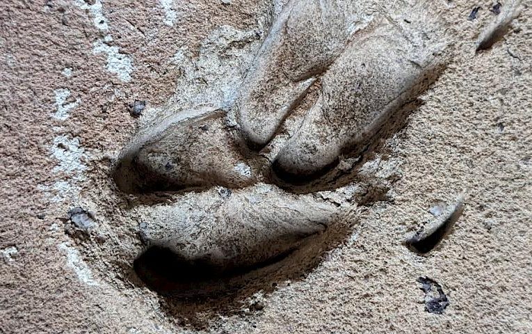 В Софії Київській є цеглина з нелюдським відбитком: чий він?