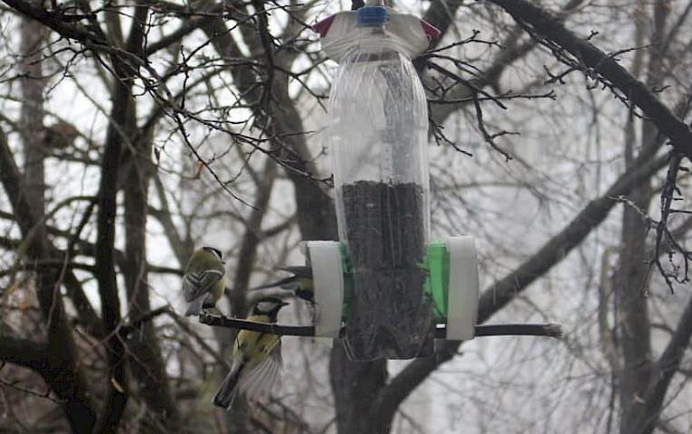 На годівничці зафіксовано новий вид, котрий подолав монополію синичок