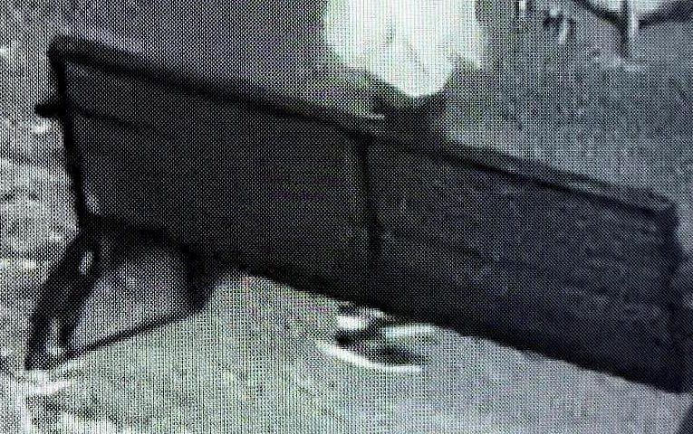 В Обухові правоохоронці розшукали крадія квітів з Алеї Героїв