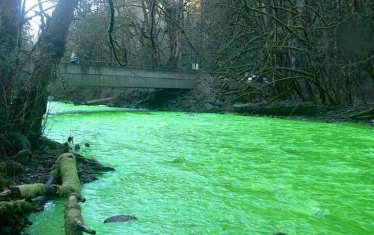 У Київській області вода в річці позеленішала до фантастичного кольору