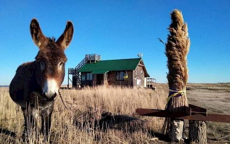 З дідухом і фламінго зустріли свята в українському природньому парку