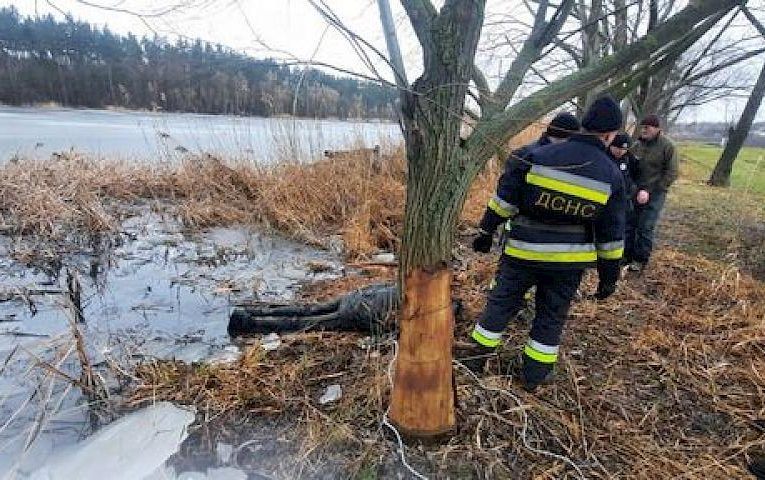 В ставку на Обухівщині знайшли тіло потопельника