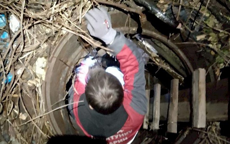 Цуцик провалився у відкритий люк: як йому вдалося вижити
