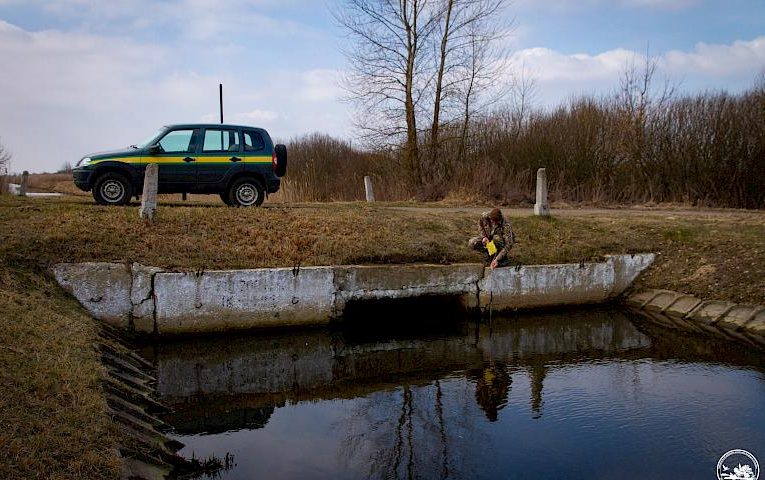 У Чорнобилі відновлюватимуть болота: для чого це робитимуть