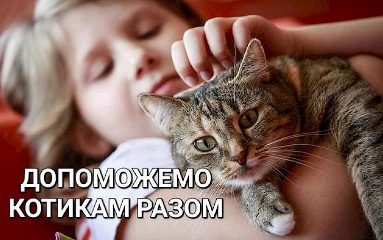 Фото з котиком: обухівських школярів запрошують долучитись до фотоконкурсу