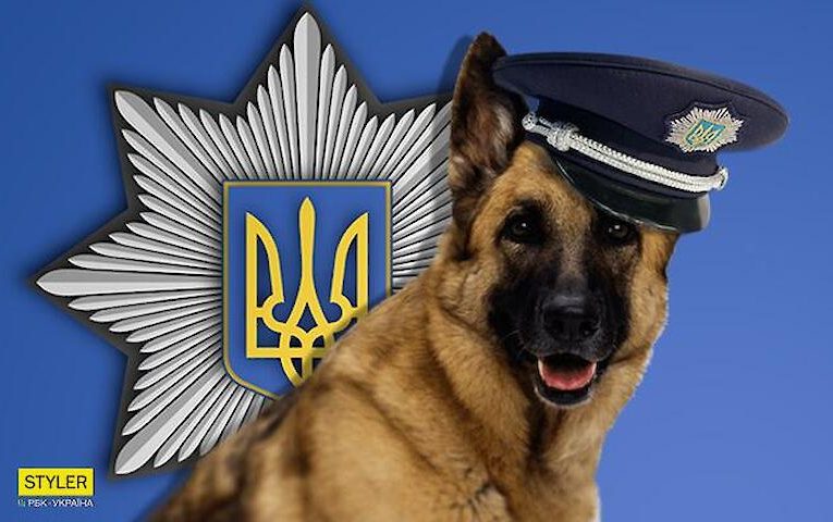 Зоополіція: ідея, час котрої настав