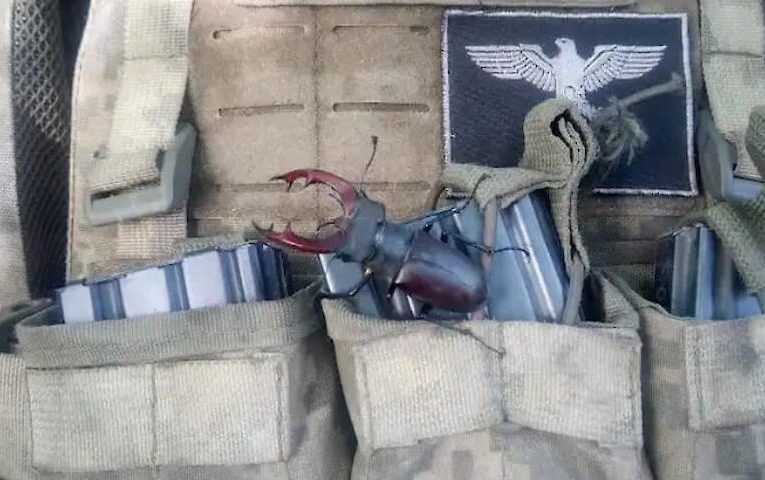 “Наша біологічна зброя”: “жука-штурмовика” показав боєць ЗСУ