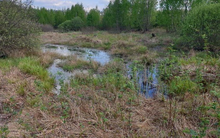 Мінветеранів планує ховати загиблих Героїв у болоті?