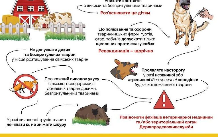 На Обухівщині вакцинуватимуть тварин проти сказу