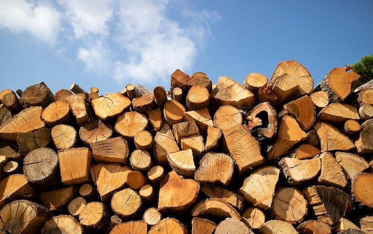 Готуй санки влітку: богуславські лісники пропонують запасатися дровами