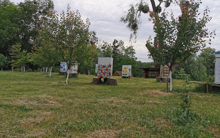 “Бджілкина крамничка”: пасіка в Обухові, де можна відпочити душею і тілом (ВІДЕО)