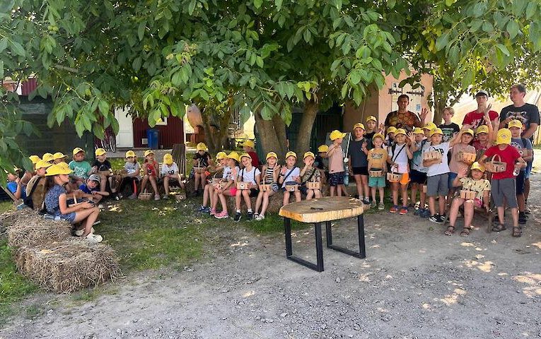 Лохинове поле у Халеп’ї відвідали юні дегустатори: оцінили врожай