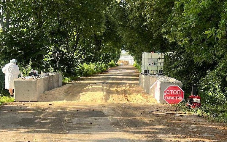 Ще в одному селі неподалік Обухова виявили рештки свиней
