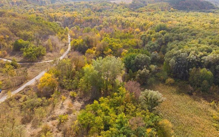 Ржищеву повернули землі легендарного ландшафтного парку