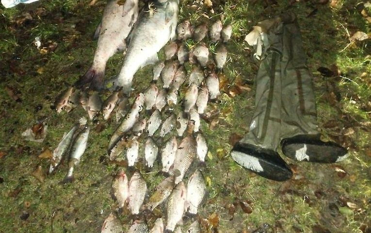 В понад сто тисяч гривень обійшлась браконьєру риболовля на Обухівщині