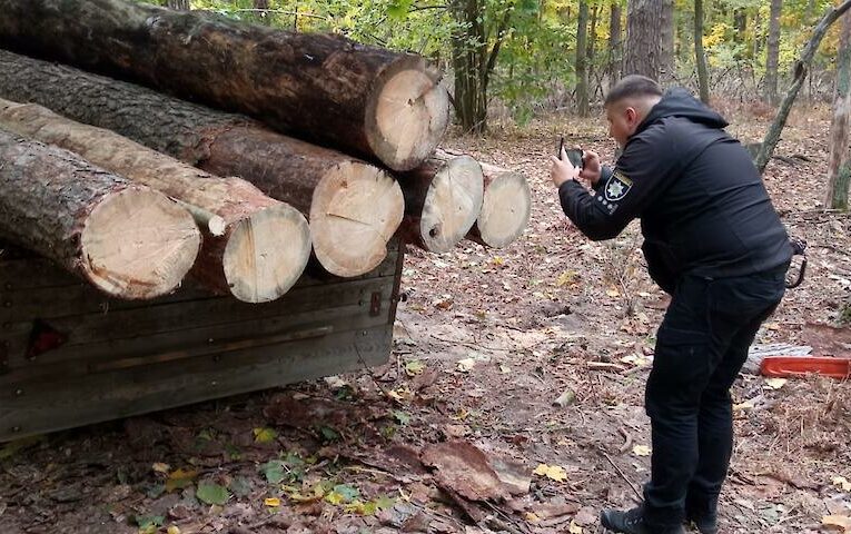У національному парку на Київщині виявлено незаконну вирубку і затримано його працівників
