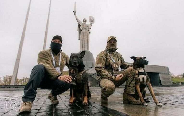 Чотирилапі герої: Рем і Фінч отримали нагороди за службу Україні