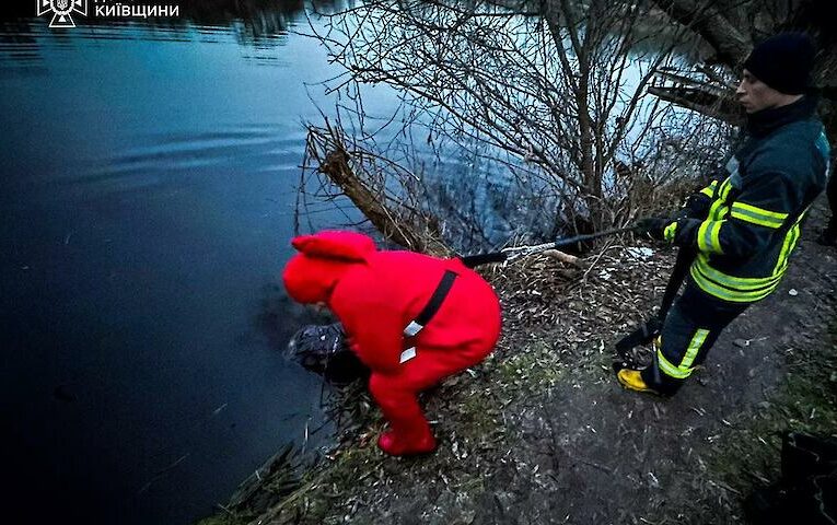В ставку неподалік Обухова виявили тіло потопельника