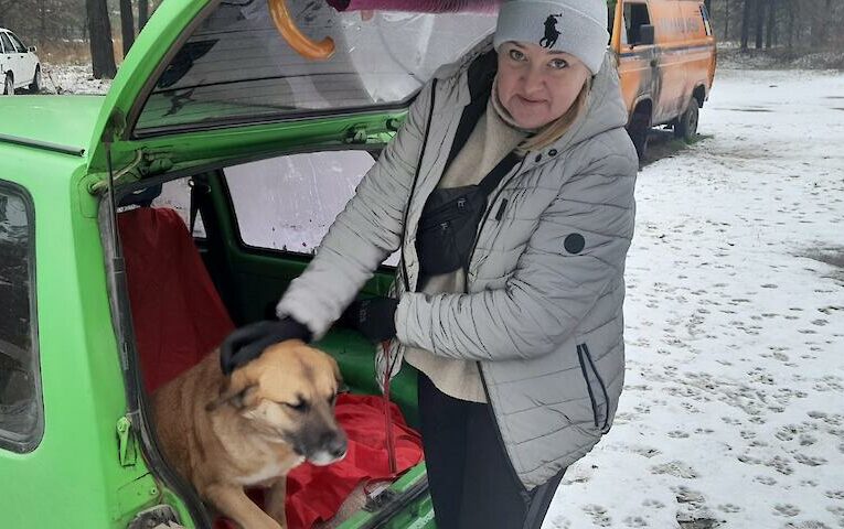 Близько чотирьох тисяч тварин простерилізували в Богуславській громаді за 2 роки