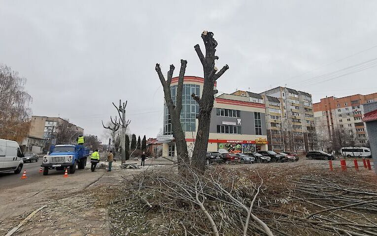 Кронування дерев в Обухові: виживають найсильніші