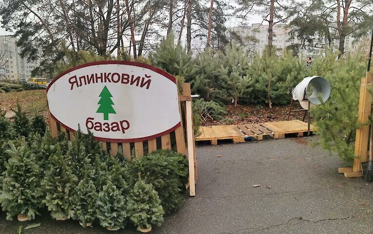 Свято наближається: чи буде головна ялинка в Обухові і чиїм коштом?