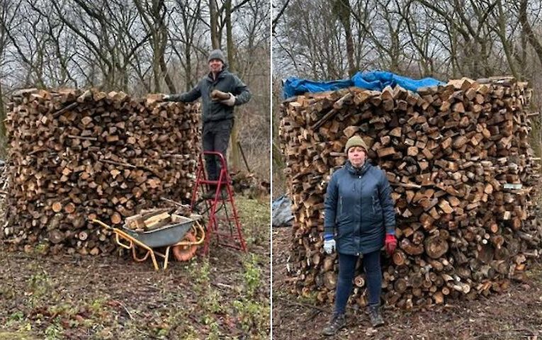 На еко-станції біля Ржищева розповіли як зберігати дрова за німецькою технологією