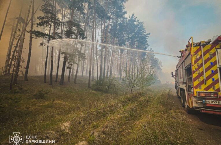 На Харківщині триває ліквідація лісової пожежі