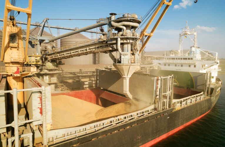 Україна скоротила експорт зерна