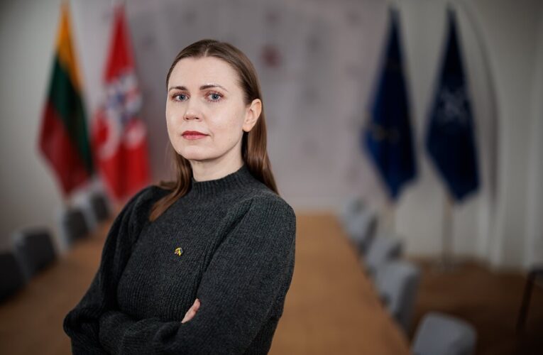 В Литві розслідують купівлю дронів у недружніх країн