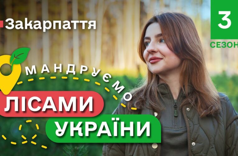 РЕЦЕПТ справжнього БОГРАЧА / праліси КАРПАТ / Мандруємо ЛІСАМИ УКРАЇНИ #9 випуск