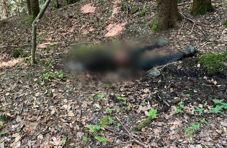 Рятувальники виявили тіло людини у горах поблизу кордону з Румунією